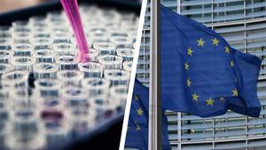 EU lockert Gentechnik-Regeln: Das ändert sich für dein Essen