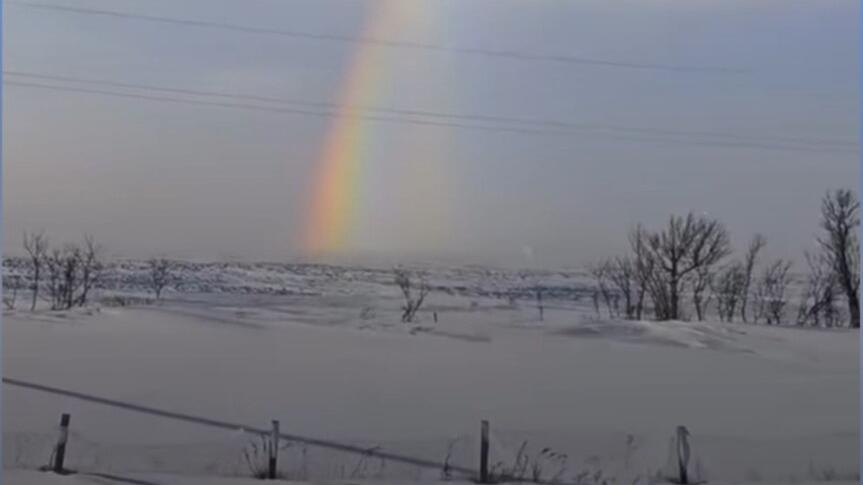 Regenbögen