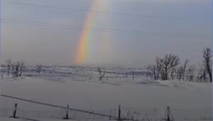 Regenbögen