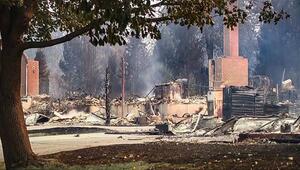 Waldbrand-Katastrophe in Washington: Ermittler nehmen Verdächtigen fest