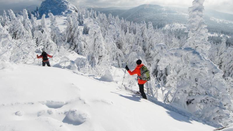 Schnee auf dem Großen Arber