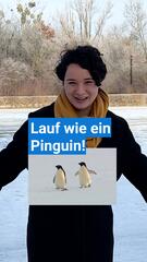 Pinguin-Gang