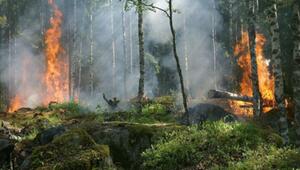 Waldbrände richtiges Verhalten