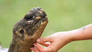 Auch Zoos haben ein Problem mit Überalterung