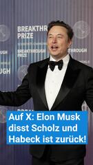 Auf X: Elon Musk disst Scholz und Habeck ist zurück!