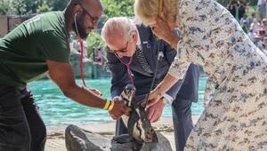 König Charles und Königin Camilla im Londoner Zoo.