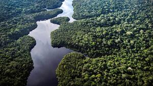 Klimaforschungszentrum im Amazonas
