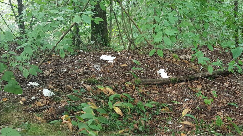 Darf man Taschentücher nach der Notdurft in der Natur entsorgen?