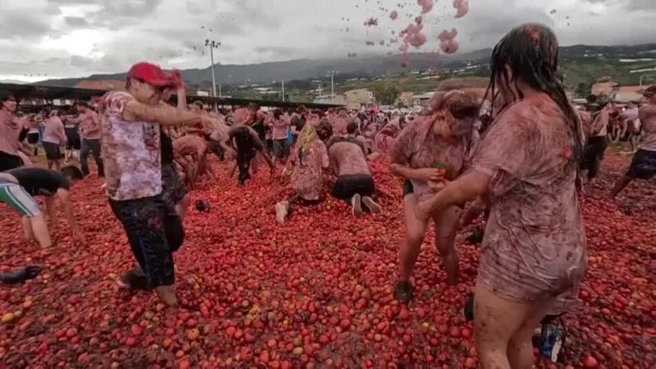 Dort, wo die Tomaten fliegen