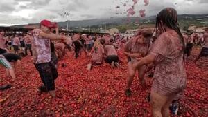 Dort, wo die Tomaten fliegen