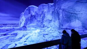 Neues Panorama „Antarktis“ in Leipzig