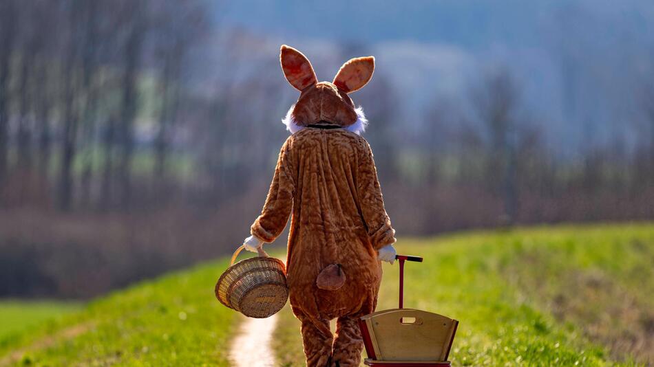 Osterhase