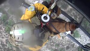Luftrettung in Arizona – Hund nach Sturz aus Schlucht geborgen