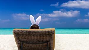 Viele Reisende zieht es an Ostern in den Süden oder ans Meer - aber auch in Deutschland gibt es ...