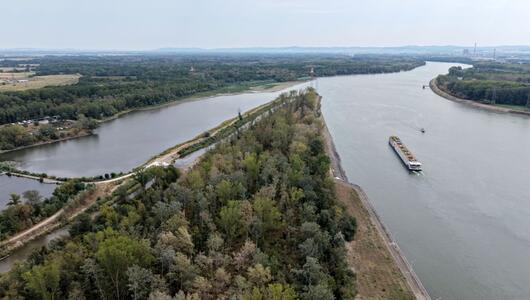 Blick auf Donau beim Kraftwerk Altenwörth Anfang August