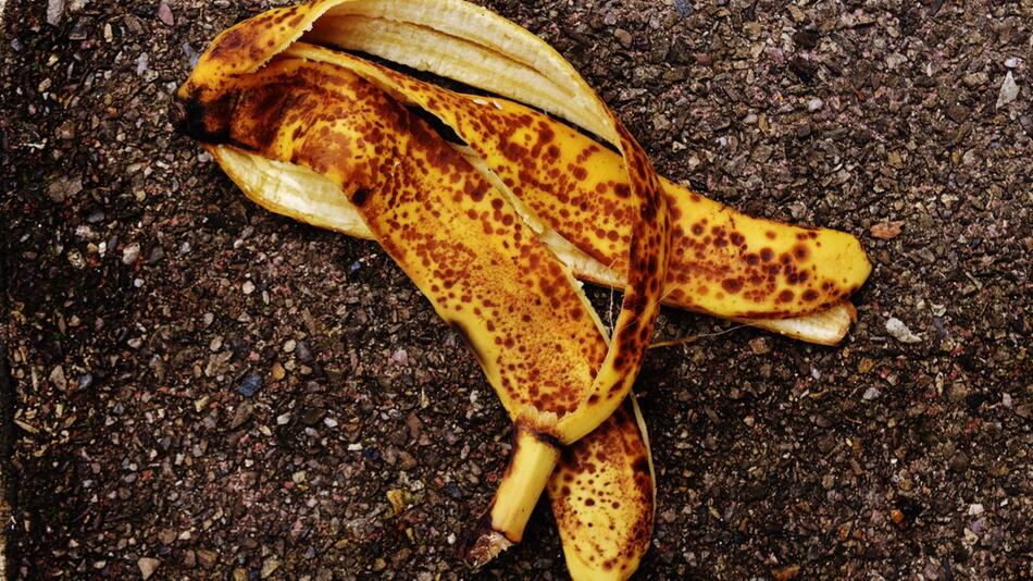 Bananenschale Rosen düngen