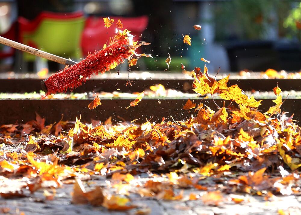 Herbstlaub wird von einem Gehweg beseitigt