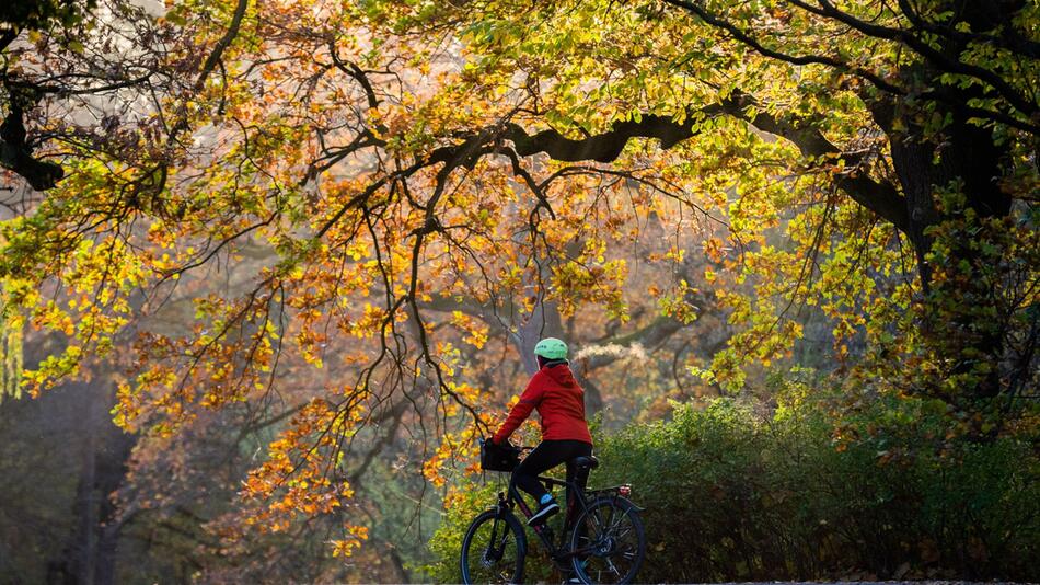 Eine Frau fährt an einem Herbstmorgen Fahrrad