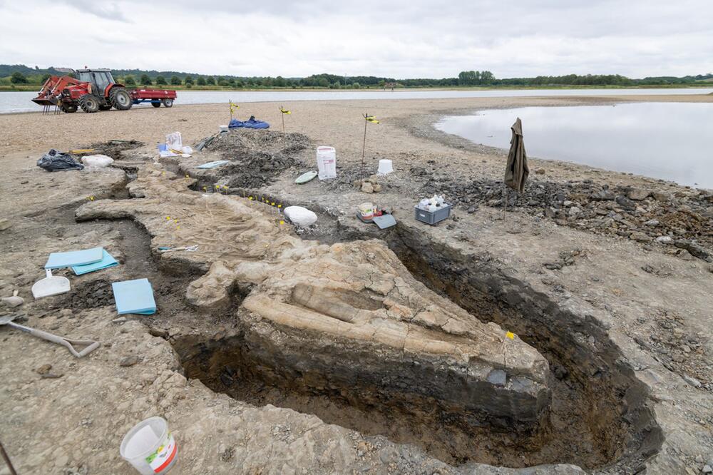 Forscher begeistert über Ichthyosaurier-Fund in Großbritannien