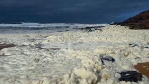 Rätsel um gelben Schaum und kranke Surfer in Südaustralien