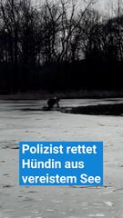 Polizist rettet Hund aus vereistem See