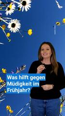 Frühjahrsmüdigkeit