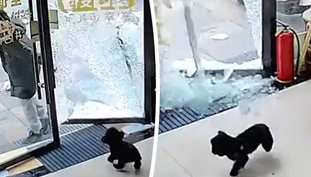 Plötzlich knallt es: Junge schlägt Glastür zu und erlebt Riesenschreck