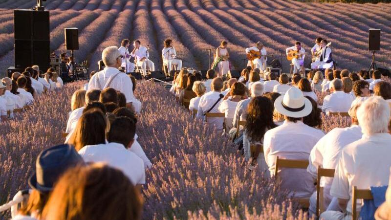 Festival de la Lavande