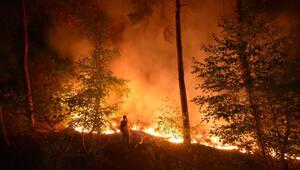 Niederlande: Brand in Naturgebiet noch nicht unter Kontrolle