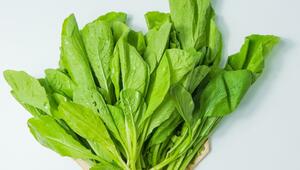 spinat eisen eisenreich lebensmittel regional