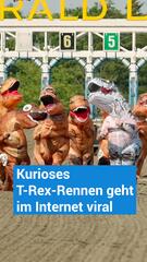 T-Rex-Rennen geht im Internet viral - ja das gibt es wirklich!