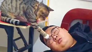 Niedlicher Wecker: Verspielte Katze will schnarchenden Mann wecken