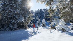 Winterwandern im Wildmoos