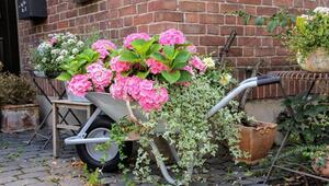 Garten gestalten mit wenig Geld