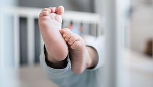 Neue Ausgabe des ÖAW-Geburtenbarometers online verfügbar