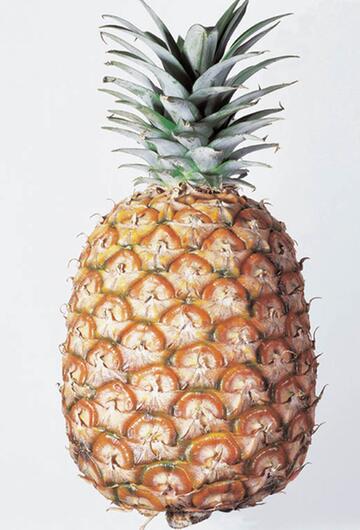 Ananas