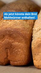 EU erlaubt Mehlwurmpulver in Brot