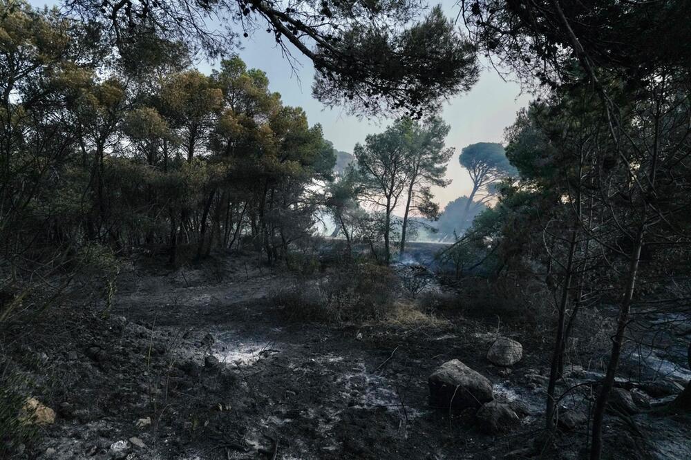 Waldbrände in Frankreich