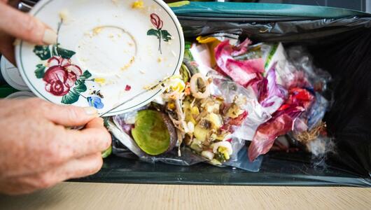 Jeden Monat landen rund 14 Kilo Essen im Müll