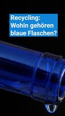 Wohin gehören blaue Flaschen?