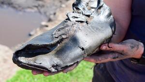 Lederschuh