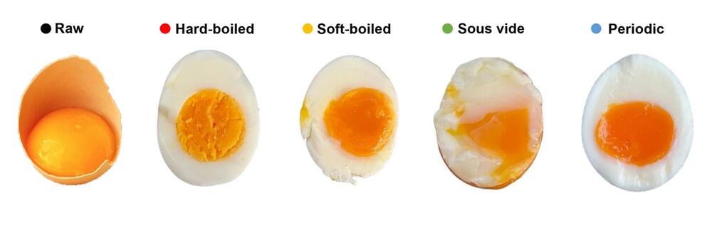 Italienische Physiker: So wird das Frühstücksei perfekt