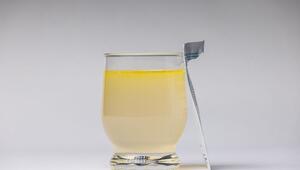 Elektrolytlösung in einem Wasserglas