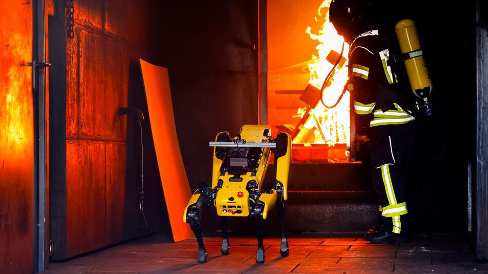 KI-Roboter soll Waldbrände löschen