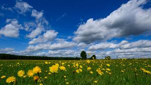 Wetter in Brandenburg