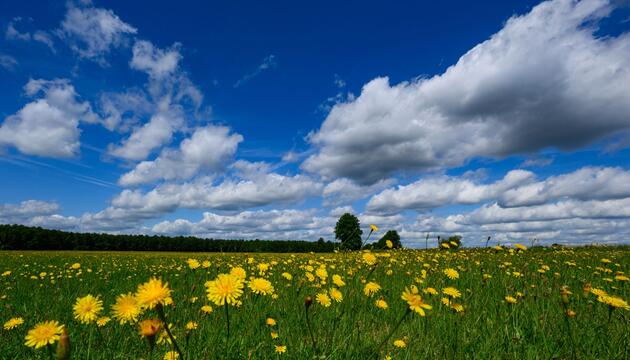 Wetter in Brandenburg