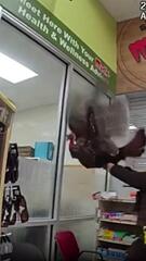 Truthahn randaliert in Supermarkt – Polizist fängt Vogel mitten im Sprung