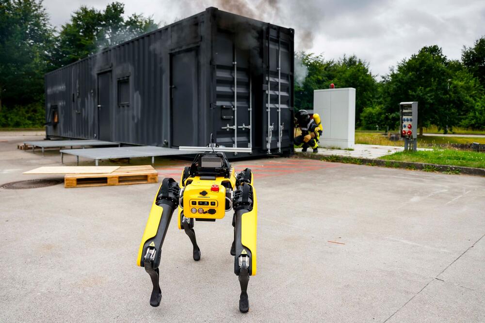 KI-Roboter soll Waldbrände löschen