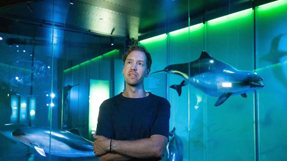 Sebastian Vettel besucht "Ozeaneum"