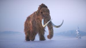 Illustration eines Wollhaarmammuts im Schnee